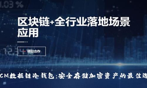 DTCM数据链冷钱包：安全存储加密资产的最佳选择