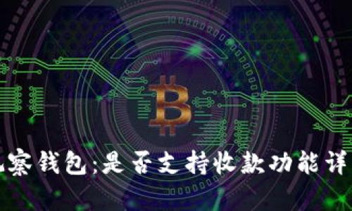 观察钱包：是否支持收款功能详解