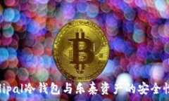   全面解析：Ellipal冷钱包