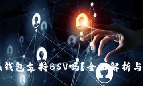 Token.im钱包支持BSV吗？全面解析与使用指南