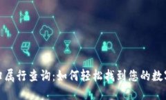 数字钱包归属行查询：如