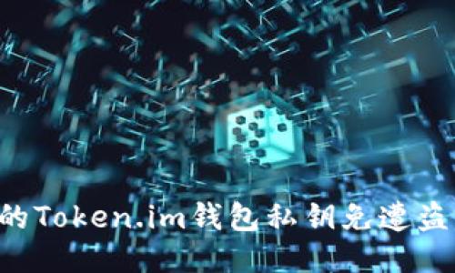 如何保护您的Token.im钱包私钥免遭盗窃：全面指南