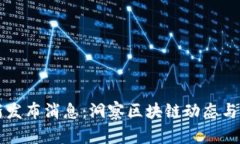 币圈最新发布消息：洞察