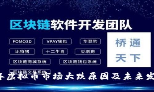 2023年虚拟币市场大跌原因及未来发展展望