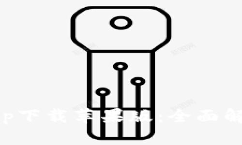 比特派安卓app下载苹果版：全面解析与使用指南