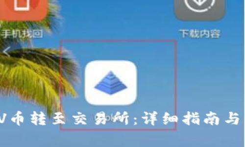 如何将VV币转至交易所：详细指南与注意事项