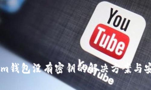 token.im钱包没有密钥的解决方案与安全建议