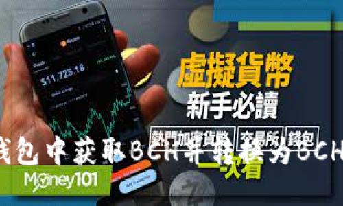 如何从冷钱包中获取BCH并转换为BCHA详细指南