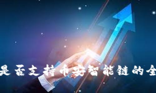 冷钱包是否支持币安智能链的全面解读