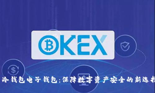  冷钱包电子钱包：保障数字资产安全的新选择