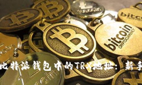 如何查找比特派钱包中的TRX地址: 新手必看指南