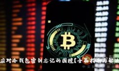 如何应对冷钱包密钥忘记