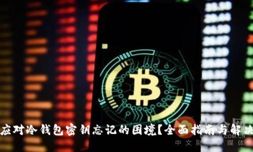 如何应对冷钱包密钥忘记的困境？全面指南与解决方案