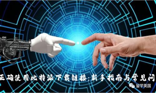  如何正确使用比特派下载链接：新手指南与常见问题解答