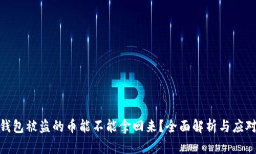 数字钱包被盗的币能不能拿回来？全面解析与应对策略