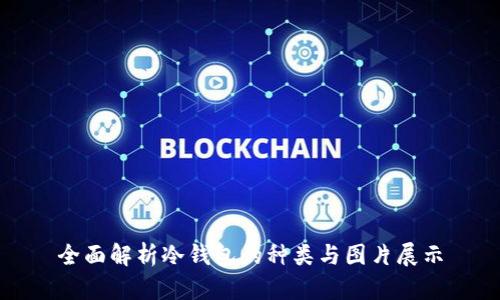 全面解析冷钱包的种类与图片展示