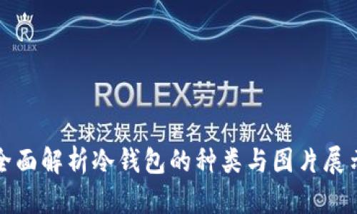全面解析冷钱包的种类与图片展示