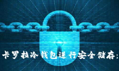 如何使用卡罗拉冷钱包进行安全储存：完整教程