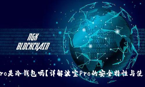 波宝Pro是冷钱包吗？详解波宝Pro的安全特性与使用方式