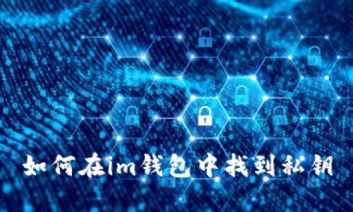 如何在im钱包中找到私钥