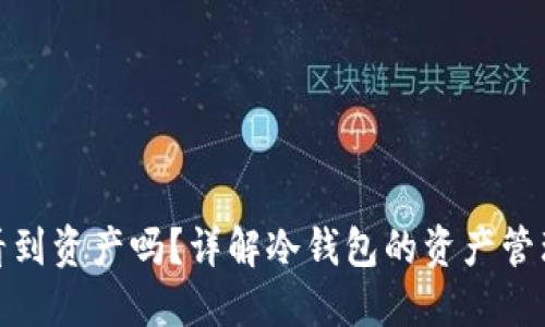 冷钱包能看到资产吗？详解冷钱包的资产管理和安全性