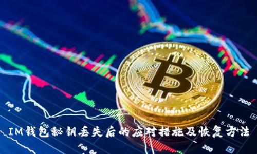 IM钱包秘钥丢失后的应对措施及恢复方法