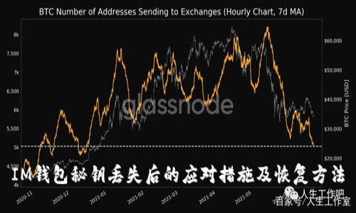 IM钱包秘钥丢失后的应对措施及恢复方法