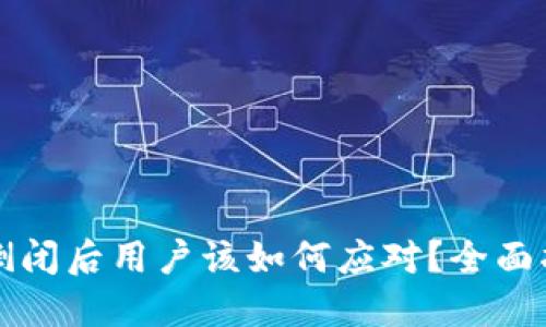 Token.im倒闭后用户该如何应对？全面指导与建议