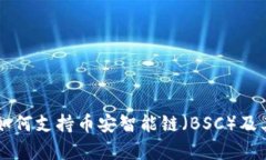 Token.im如何支持币安智能链