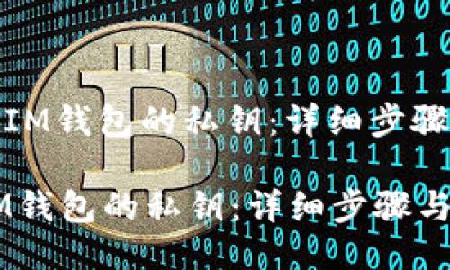: 如何找回IM钱包的私钥：详细步骤与安全指南

如何找回IM钱包的私钥：详细步骤与安全指南