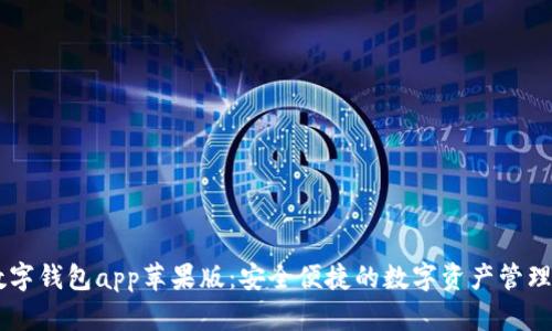 IM数字钱包app苹果版：安全便捷的数字资产管理工具