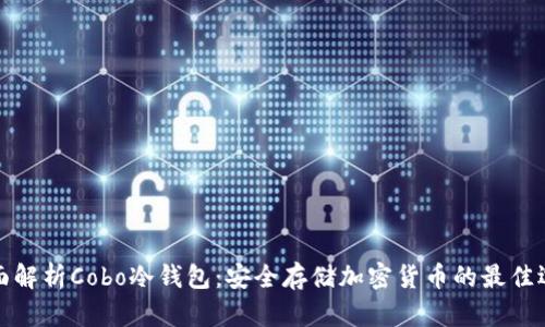 全面解析Cobo冷钱包：安全存储加密货币的最佳选择