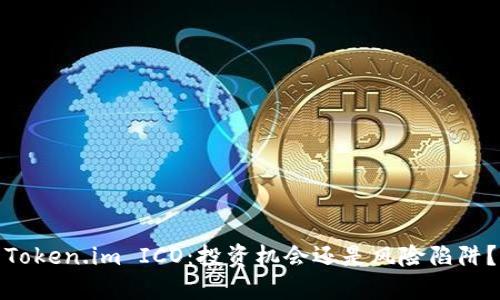 Token.im ICO：投资机会还是风险陷阱？