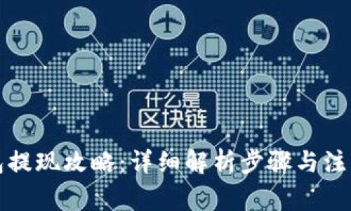 冷钱包提现攻略：详细解析步骤与注意事项