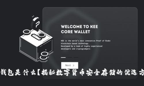 冷钱包是什么？揭秘数字货币安全存储的优选方案