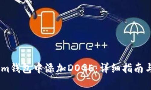 如何在Token.im钱包中添加DOGE：详细指南与常见问题解答