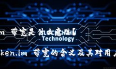 Token.im 带宽是什么意思？