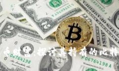 中本聪的比特币财富：探