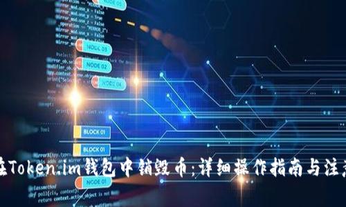 如何在Token.im钱包中销毁币：详细操作指南与注意事项