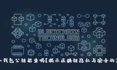 : 冷钱包公链能查吗？揭示